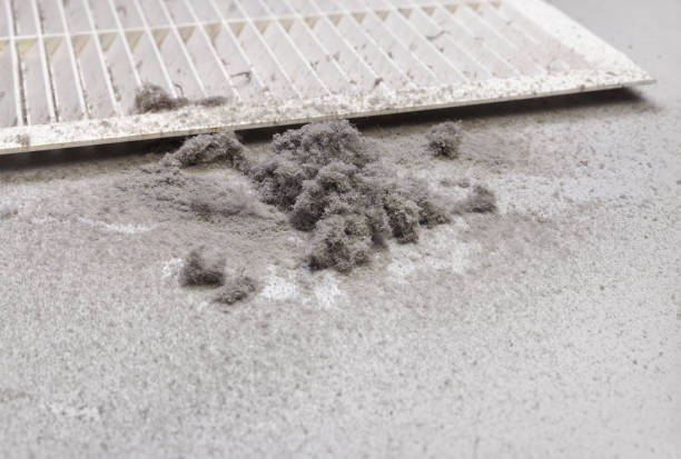 Affordable HVAC Duct Cleaning in LA