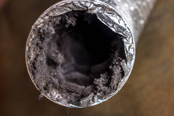 Best Affordable Air Duct Cleaning  in Rosedale, LA